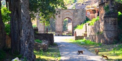 Jaipur to Bhangarh Trip