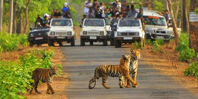 ranthambore taxi package